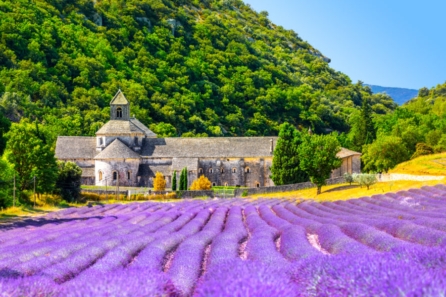 view of L’Abbaye Notre-Dame de Sénanque with a lavender field in the foreground