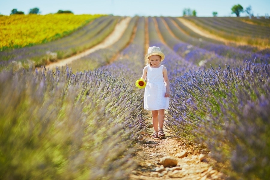 girl walking through a lavender field